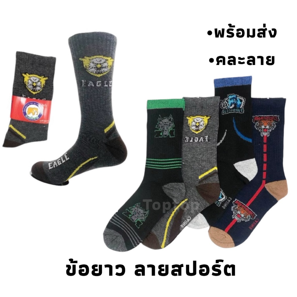 พร้อมส่ง ถุงเท้า 【6คู่ คละลาย】ลายสปอร์ต ถุงเท้าข้อยาว ผ้านิ่ม ฟรีไซส์ 34-44 ใส่ได้