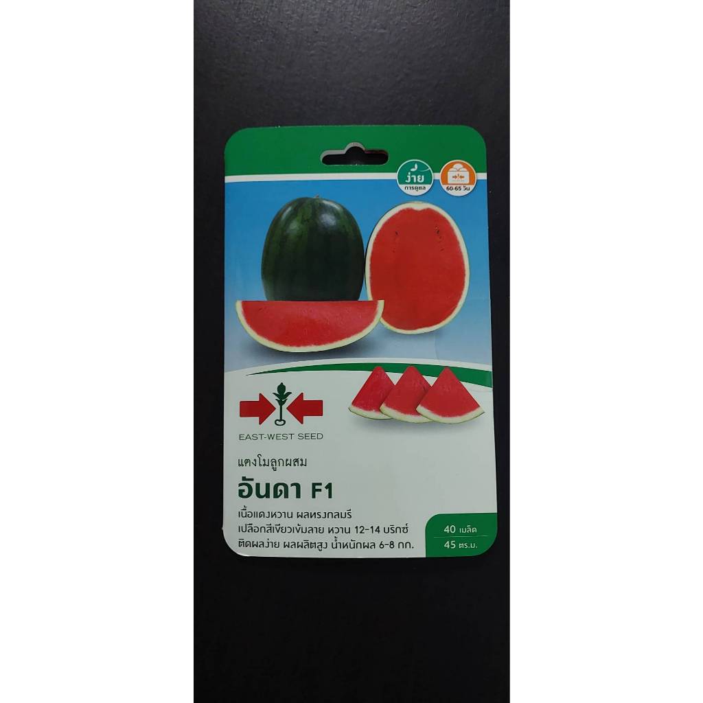 รวมผักศรแดงF1 (ศรแดงชุดที่ 2) ผักซอง มีให้เลือก 29 ชนิด ฟักทอง กะเพรา พริก ผักชี ข้าวโพด มะละกอ - รูปที่ 7