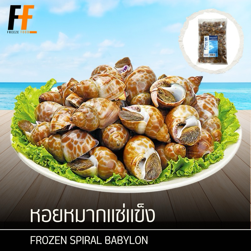 หอยหมากแช่แข็ง 1 กิโลกรัม | FROZEN SPIRAL BABYLON