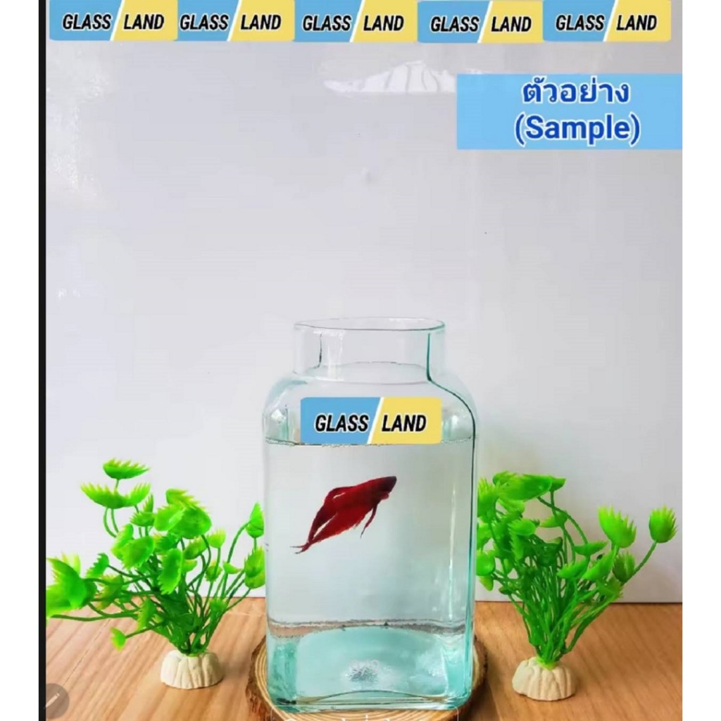 โหลเหลี่ยมปลากัดทรงสั้น ( พร้อมส่ง 1200 ml เกรดรวม งานแก้วเป่าจ้า ) โหลฟอร์มปลากัด เลี้ยงปลา จัดสวนแก้ว