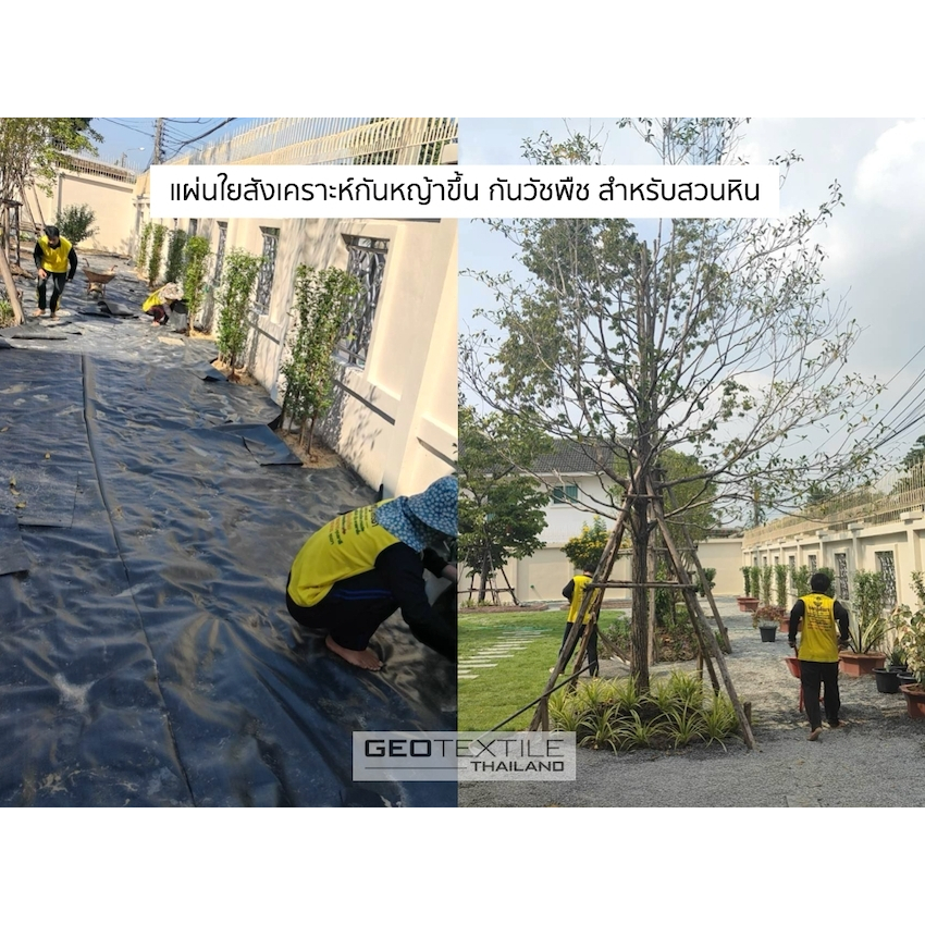 Geotextile TWP50 แผ่นกันวัชพืช กันหญ้า (มีหลายขนาด) เกรดวิศวกรรม ระบายน้ำได้ กันดินทรุด สำหรับสวนหิน