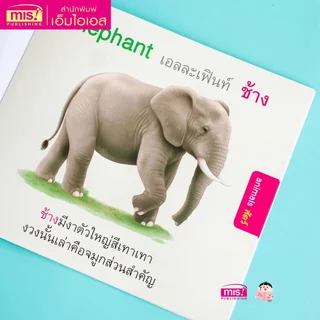 MISBOOK หนังสือหนูชอบสัตว์น่ารัก I like cute animals.