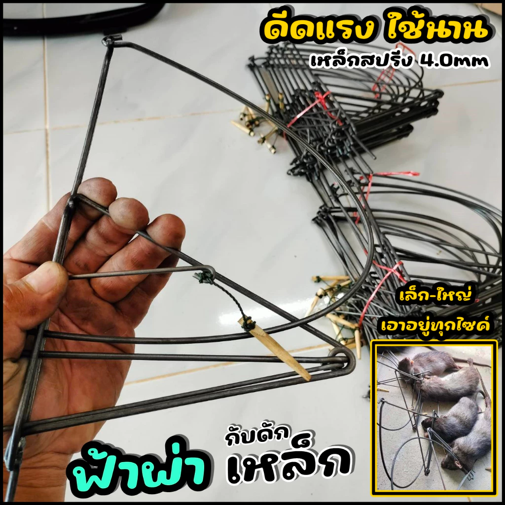 กับดักเหล็ก ฟ้าลั่น ฟ้าผ่า (ราคาพิเศษ) หยียบสับแรง อยู่ทุกไซค์ ดักหนู พังพอน (ใช้ง่าย ได้ผลดี)