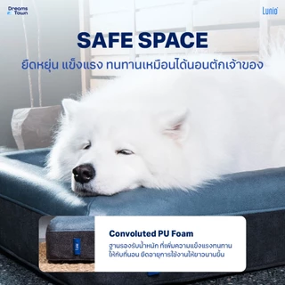 Lunio Pet Bed ที่นอนสุนัข ที่นอนหมา ที่นอนแมว ที่นอนสัตว์เลี้ยง ทำจากเมมโมรี่โฟม มีคุณสมบัติระบายอากาศได้ดี