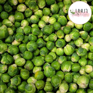 เมล็ดพันธุ์กระหล่ำปลีดาว 39บาท 250เมล็ด