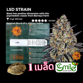 เมล็ดกัญชา LSD (Fem) Winner Cup* - Barney’s Farm