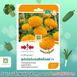 สีทอง เมล็ดพันธุ์ดาวเรือง ซุปเปอร์บอลดีพโกลด์ F1 Deep gold เ…