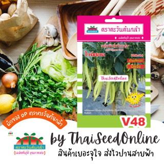 ADV ซฟ เมล็ดพันธุ์ พริกหนุ่มไวท์ฮอท ตราตะวันต้นกล้า V48