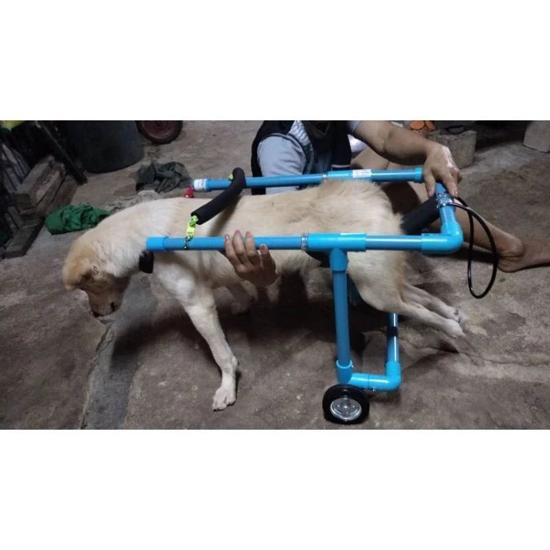 2 ล้อ วิลแชร์สุนัข หนัก 25 - 50 กิโล วิวแชหมา หมาพิการ สุนัขขาหลังพิการ สุนัขพิการ
