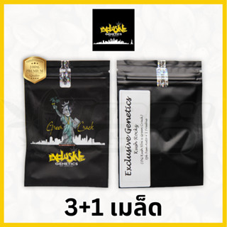 Kush Rockz (Auto) (Green Crack Line) - Exclusive Genetics NY เมล็ด กัญชา นำเข้าแท้100% เมล็ดเพศเมีย