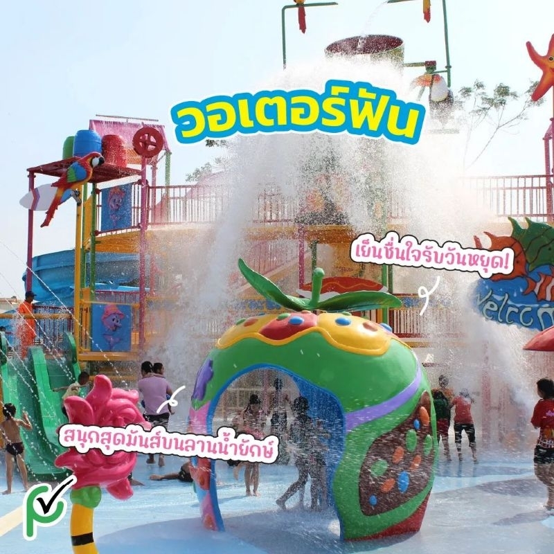 รูปภาพ 5