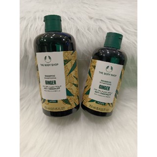 พร้อมส่ง THE BODY SHOP GINGER SHAMPOO