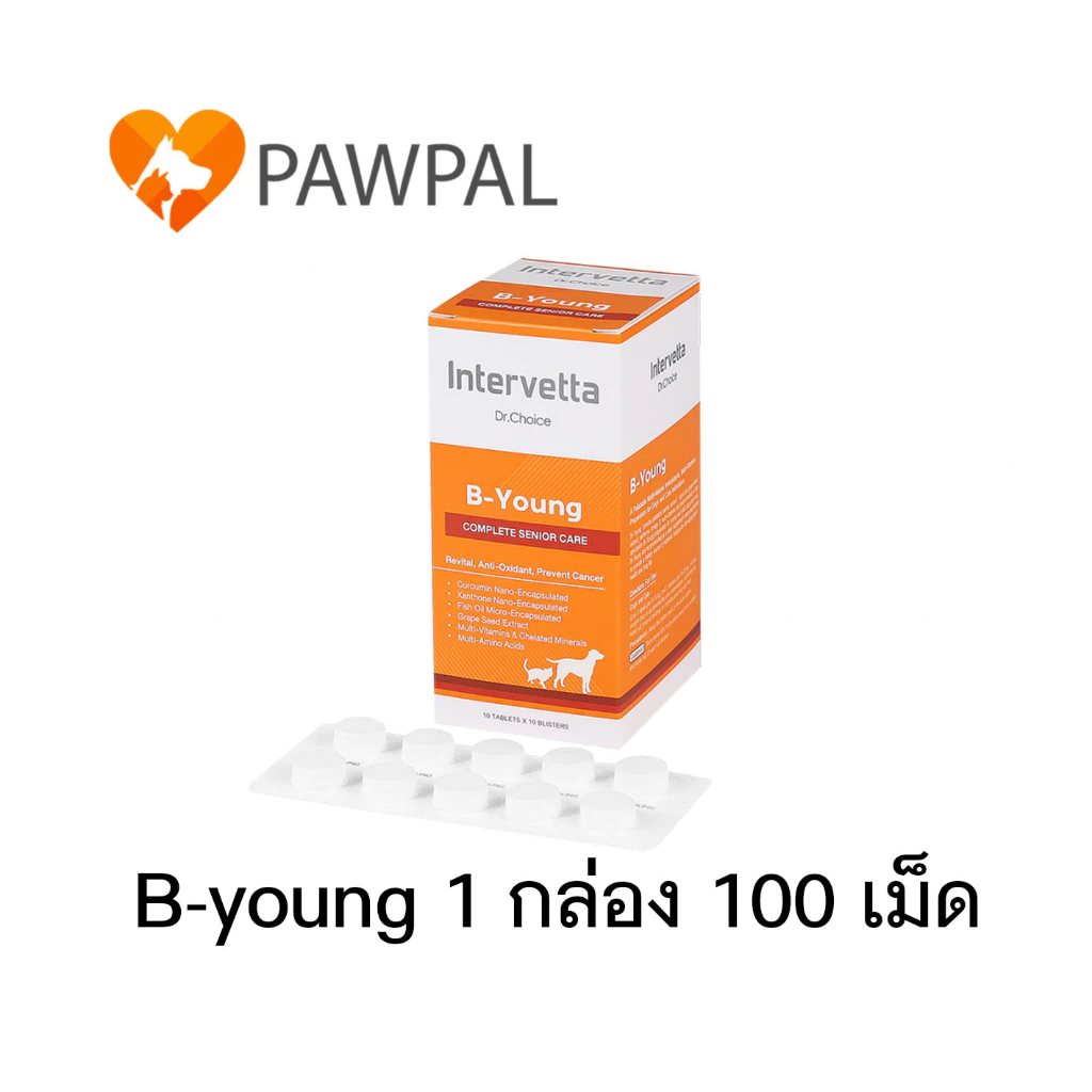 Dr. Choice B-Young 🔥Exp.5/2028 Intervetta บำรุงระบบประสาท ชะลอวัย สุนัข แมว Complete senior care supplement dog cat