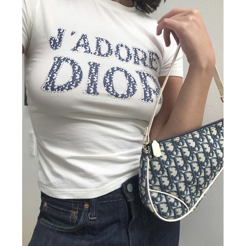 dior saddle vintage bag