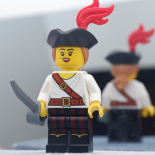 LEGO Pirate Girl Series 20 PloyBrick