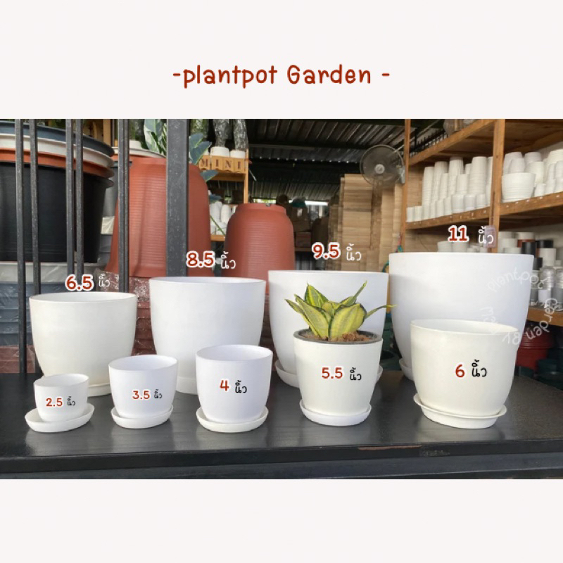 ! ถูก ทน และหนา !! ทรงไข่ กระถางพลาสติกสีขาว 2.5 -11 นิ้ว สไตล์มินิมอล พลาสติกหนา