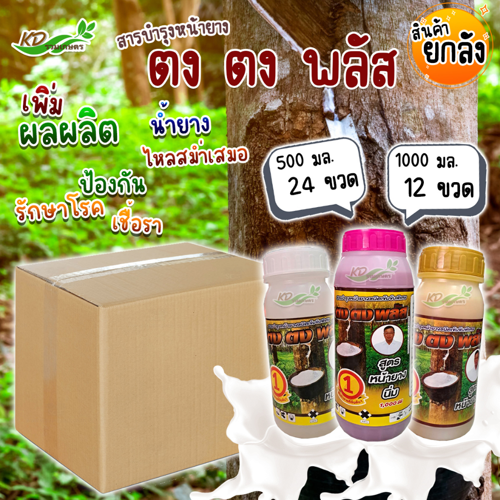 ยกลัง ตงตง พลัส (สูตรหน้ายางนิ่ม) ยาทาหน้ายาง น้ำยางออกเต็มหน้า กรีดง่าย ต้นไม่โทรม