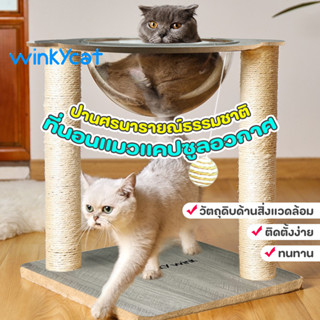 Winky Wink คอนโดแมว ที่ลับเล็บแมว ของเล่นแมว เสาลับเล็บ คอนโดแมวไม้ พร้อมหลุมใสอะคริลิคและเสาฝนเล็บ