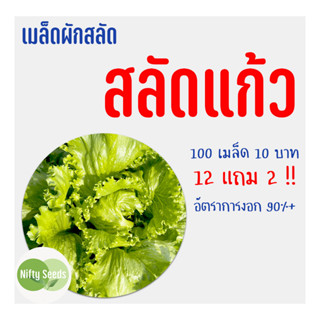 เมล็ดสลัด สลัดแก้ว ผักกาดหอมห่อ 100 เมล็ด 10 บาท  งอกดีมีคู่มือในการปลูก