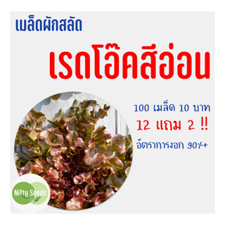 เมล็ดสลัด เรดโอ๊ค (สีอ่อน) 100 เมล็ด 10 บาท งอกดีมีคู่มือในการปลูก