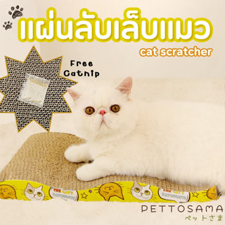 Pettosama แผ่นลับเล็บแมว ฟรีแคทนิป โซฟาลับเล็บ ของเล่นแมว ที่ลับเล็บที่ต้องแมวต้องกระโจนใส่ เกาให้ฟินกันไปเลย