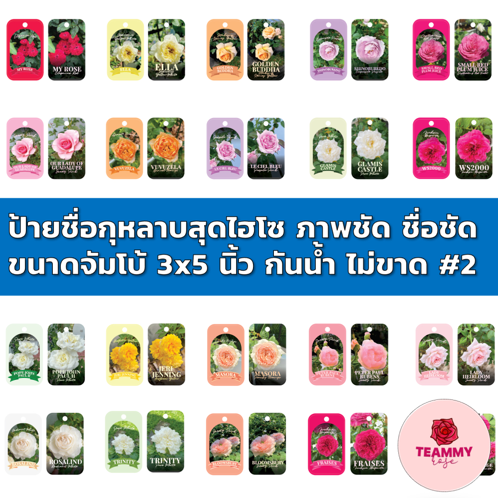 ป้ายชื่อกุหลาบสุดไฮโซ#2 ภาพชัด ชื่อชัด ขนาดจัมโบ้ 3x5 นิ้ว กันน้ำ กันแดด ไม่ขาด ผลิตจากแผ่น PP Sheet