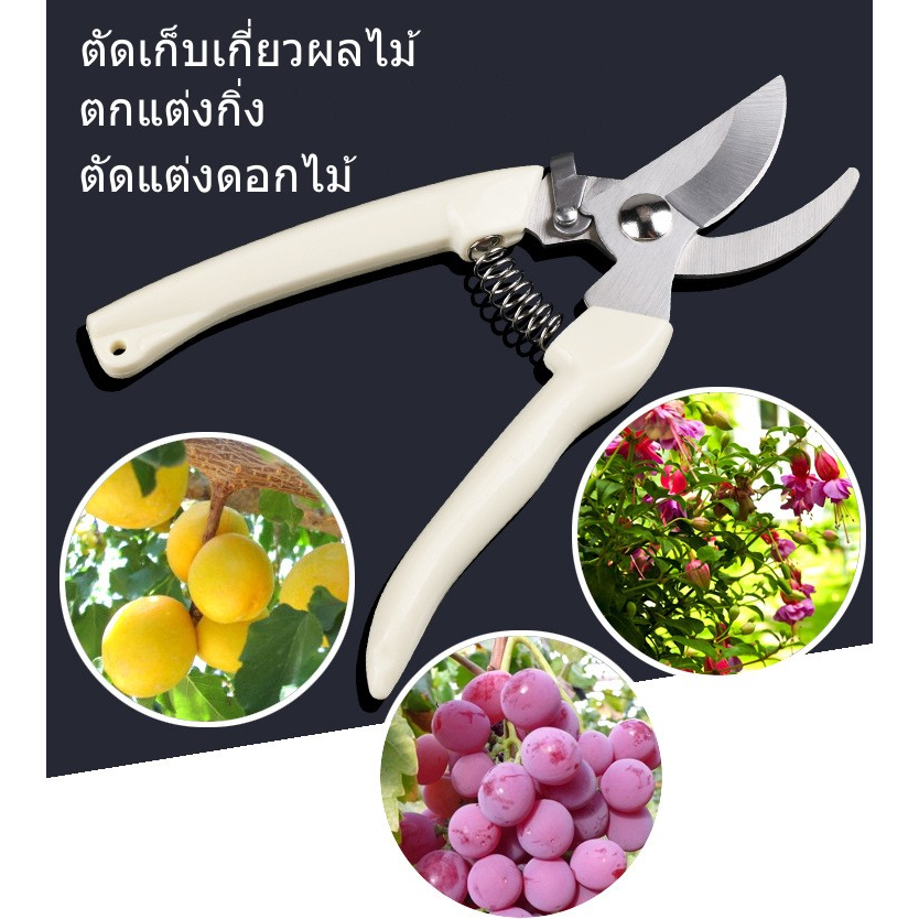 กรรไกรตัดกิ่งSS02  กรรไกรแต่งกิ่ง