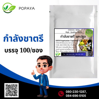 popaya กำลัง_ชาตรี สมุนไพรผู้ชาย ชายชาตรี บรรจุ100cap /ซอง กลิ่นหอม