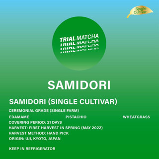 TRIAL MATCHA | ผงมัทฉะอุจิสายพันธุ์เดี่ยว Samidori Single cultivar