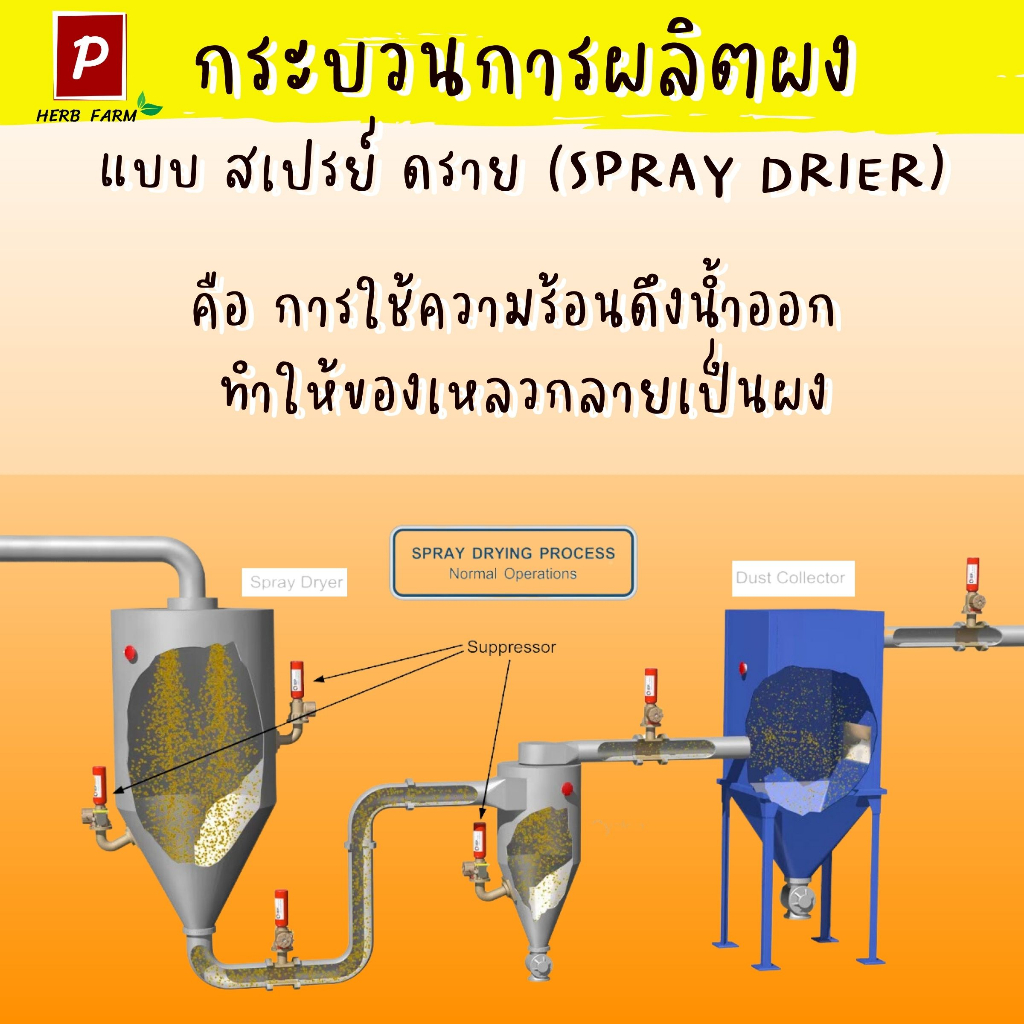 ผงมะลิ ไม่มีน้ำตาล และสารกันเสีย - รูปที่ 3