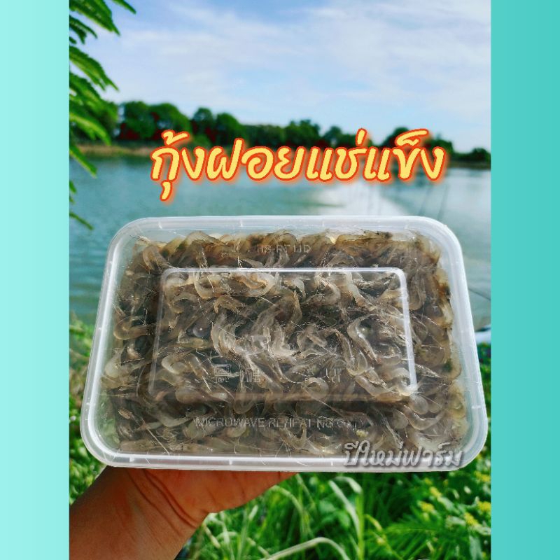 กุ้งฝอยแช่แข็ง (เกรดทำอาหาร)แพ๊คใหม่ๆสดๆจากกุ้งเป็นทำเมณูได้หลากหลาย ส่งลังโฟม