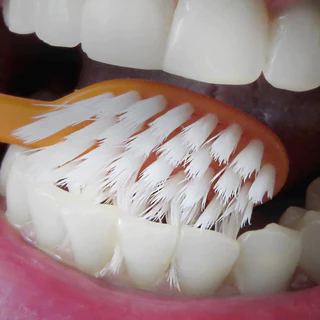 [เหงือกบอบบาง-เหงือกร่น] EDELWHITE UltraSoft Flosserbrush แปรงสีฟัน ขนนุ่มพิเศษ ถนอมเหงือก