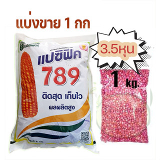 เมล็ดพันธุ์ ข้าวโพดเลี้ยงสัตว์ 789แปซิฟิค 3.5 หุน แบ่งขาย 1 กก