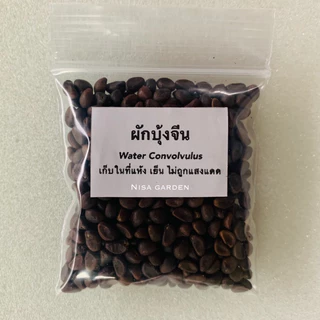 Nisa Garden เมล็ดพันธุ์ ผักบุ้งจีน งอกง่าย โตเร็ว 🔥 ซื้อ 5 แถมฟรี 1 🔥