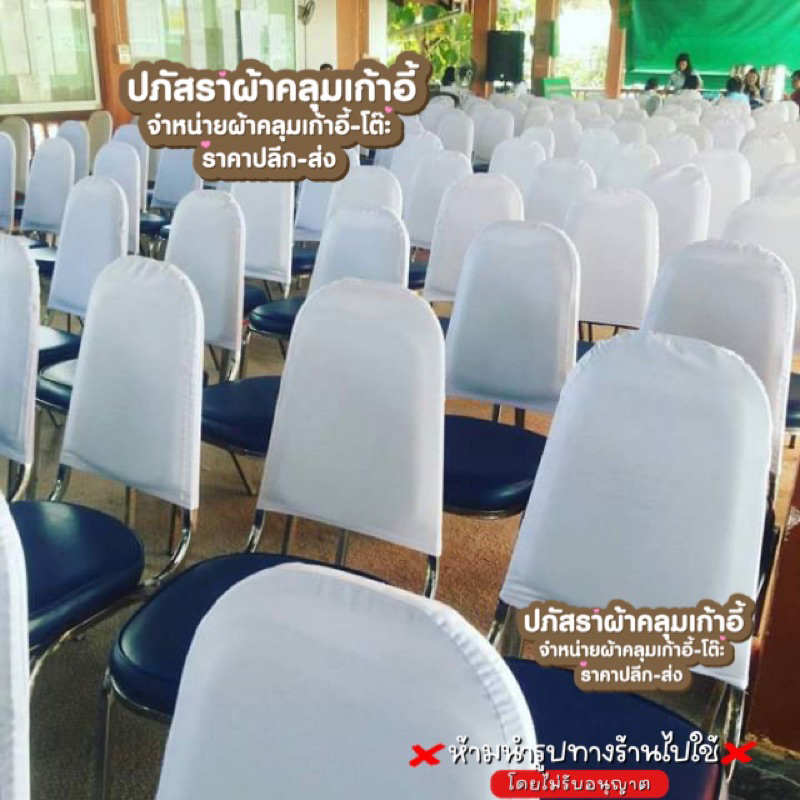 ผ้าคลุมเก้าอี้ พลาสติก/ นวม ครึ่งตัว ราคา290 แพ็ค10ตัว