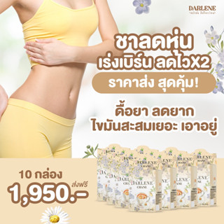 ดาร์เลเน่ ชาเน่ DARLENE Chane ชาลดไขมัน ลดนํ้าหนัก เร่งระบบเผาผลาญ ลดหุ่น ลดแขนใหญ่ ขาใหญ่ ราคาส่ง 10 กล่อง 3 เดือน