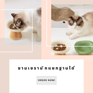 ชามเซรามิก แยกฐานได้