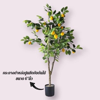 🍋 ต้นไม้ปลอมเกรดพรีเมี่ยม ต้นเลม่อน"ปลอม" (Lemon) (fake tree) ครบชุดพร้อมโชว์