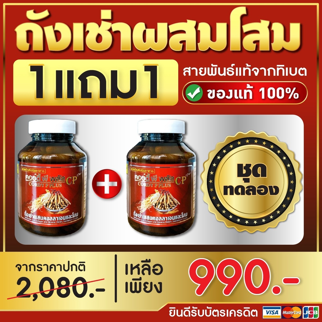 ซื้อ 1 ฟรี 1 ถังเช่าทิเบต ของแท้ 100% ถั่งเช่า ถังเฉ้า ถั่งเฉ้า CORDY P PLUS ผสมโสมและคอลลาเจน บำรุงร่างกาย