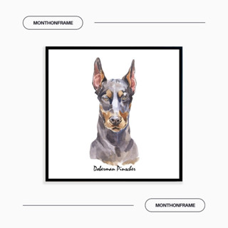 รูปภาพติดผนัง ภาพวาดตกแต่งบ้าน ภาพวาด Doberman Pinscher พร้อมกรอบและติดที่แขวนเรียบร้อย