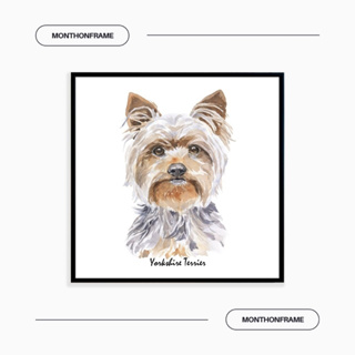 รูปภาพติดผนัง ภาพวาดตกแต่งบ้าน ภาพวาด Yorkshire Terrier พร้อมกรอบและติดที่แขวนเรียบร้อย