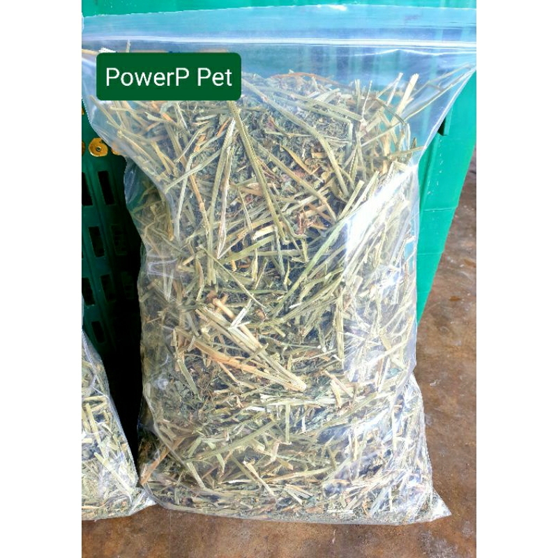 อัลฟาฟ่าราคาถูก หญ้านำเข้า ANDERSON 1 กิโล 90 บ. (1 kg. 90 Baht)