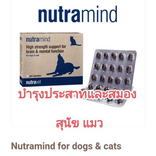 แบ่งขาย 1แผง15 เม็ด nutramide nutravet อาหารเสริมบำรุงสมองสุนัข บำรุงประสาทสุนัข อาหารเสริมบำรุงสมองแมว บำรุงประสาทแมว