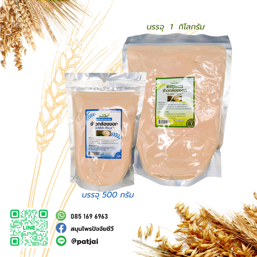 ปัจจัยชีวี ข้าวกล้องงอก GABA Rice 500กรัม, 1000กรัม(1kg) ตราซีซ่า (SESA)
