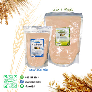 ปัจจัยชีวี ข้าวกล้องงอก GABA Rice 500กรัม, 1000กรัม(1kg) ตราซีซ่า (SESA)