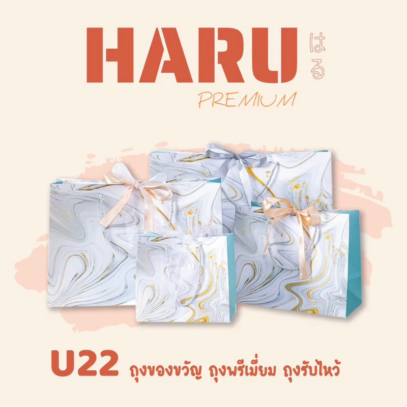 U22 ถุงของขวัญ ถุงกระดาษ โทนสีฟ้า ลายหินอ่อน