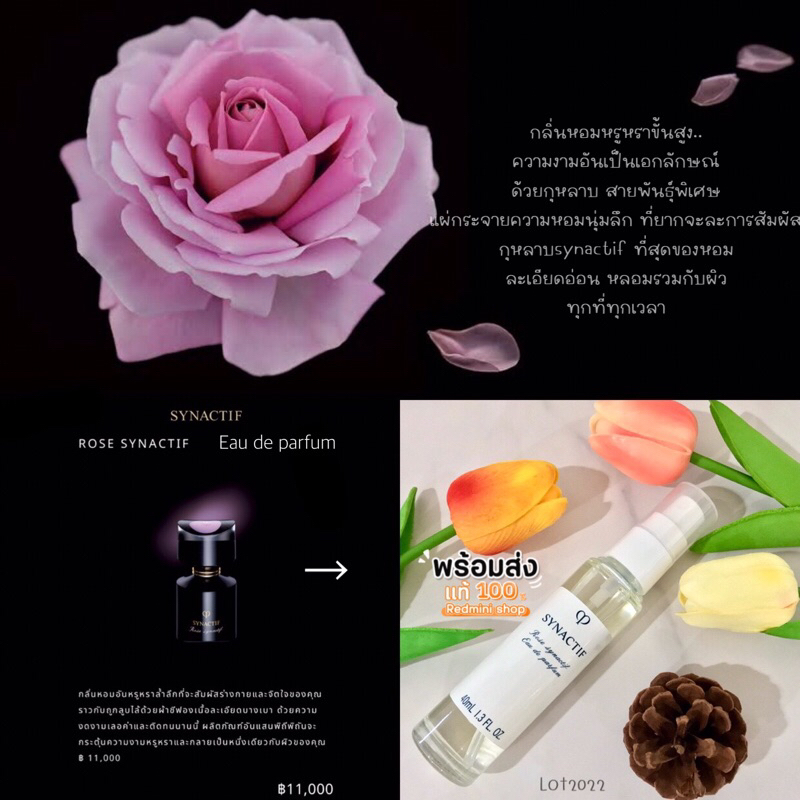CPB Rose Synactif Edp. 40ml. ที่สุดแห่งความหอมหรูกลิ่นกุหลาบสายพันธุ์ชนะระดับโลก