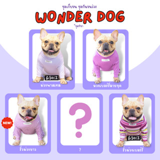 ชุดเก็บขน wonder dog เสื้อสุนัข เสื้อแมว ชุดกันขนร่วงสุนัข ชุดสัตว์เลี้ยง โทนสีม่วง