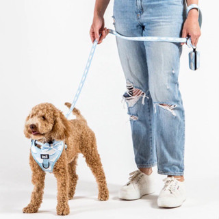 PAWSQUAD Cloudy Harness Set ชุดสุนัขพร้อมสายจูง | PAWSQUAD