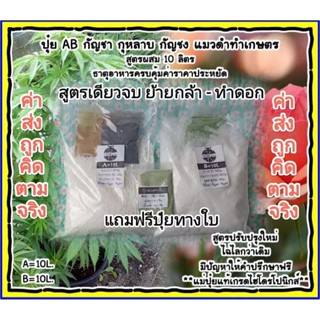 ปุ๋ย AB กัญชา กุหลาบ (แถมฟรีอาหารเสริมทางใบ) A=10L. B=10L. ดอกใหญ่ ใบเขียว สูตรเดียวจบ